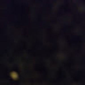 Meet your Posher, Sienna